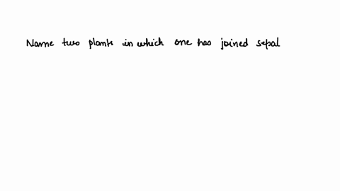 please-give-me-the-answer-of-this-que-00146