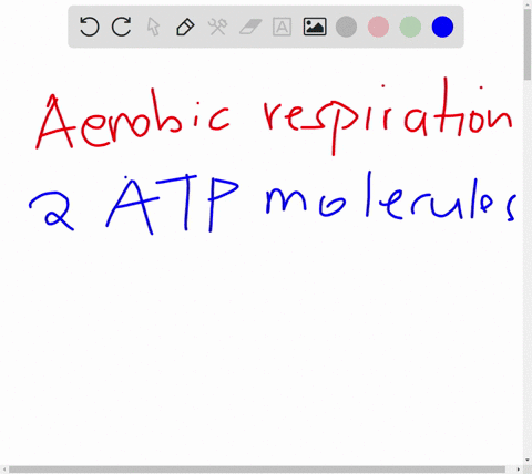 what-cellular-process-releases-atp-by-breaking-down-glucose-into-lactate-a-glycolysis-b-alcoholic-fermentation-c-aerobic-respiration-d-lactic-acid-fermentation-58696