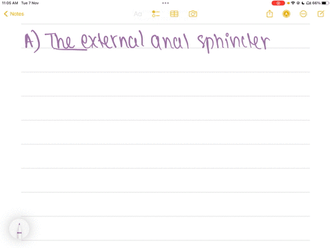 which-sphincter-in-the-gastrointestinal-tract-is-under-voluntary-control-by-the-nervous-system-a-external-anal-sphincter-b-ileocaecal-sphincter-c-internal-anal-sphincter-d-lower-oesophageal-sphincter
