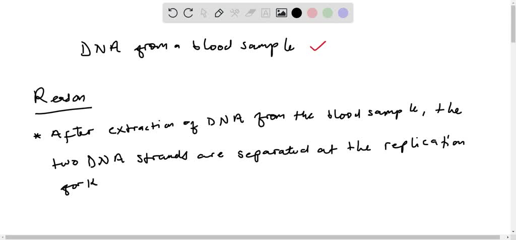 SOLVED: Which reagent acts as a template for the DNA polymerase so that SOLVED: Which reagent acts as a template for the DNA polymerase so that