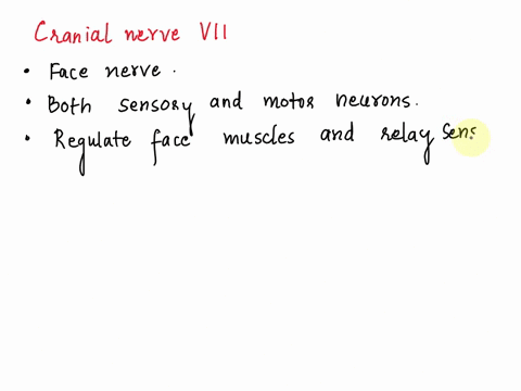 which-of-the-following-cranial-nerves-have-both-sensory-and-motor-neurons-vii-viii-54066