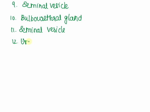 need-help-with-question-1-to-35-please-thx-male-reproductive-vasductusdeferens-urethra-seminiferous-nubules-ejaculatory-duct-interstitialleydig-cells-fructose-epididymis1-3-wecks-midpiece-me-47746