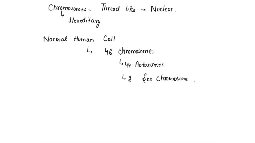 solved-how-many-chromosomes-does-a-human-cell-contain-at-the-start-of