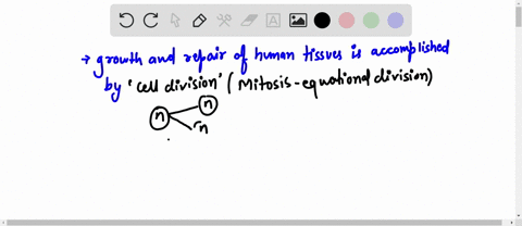please-helppp-which-process-is-responsible-for-the-growth-and-repair-of-human-tissue-a-evolution-b-cell-division-c-germination-d-natural-selection-03167