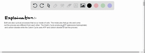 compare-and-contrast-identify-the-similarities-and-differences-between-the-krebs-cycle-and-the-cal-2-08708