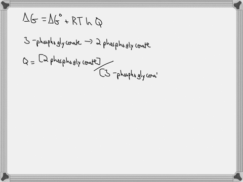 3-phosphoglycerate-is-converted-to-2-phosphoglycerate-by-phosphoglycerate-mutase-within-a-cell-see-reaction-equation-below-the-agl-of-this-reaction-is-444-kjmole-if-within-the-cell-the-conce-14558