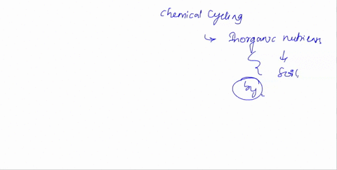 during-chemical-cycling-inorganic-nutrients-are-typically-returned-to-the-soil-by-a-autotrophs-b-d-2-46494