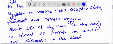 describe-the-bohr-effect-and-how-it-is-important-for-the-function-of-hemoglobin_-explain-why-myoglobin-does-not-exhibit-a-bohr-effect-11-what-is-the-function-of-23-bisphosphoglycerate-bpg-wh-79113
