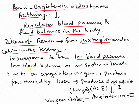 describe-the-renin-angiotensin-aldosterone-pathway-also-include-the-hormones-glands-types-of-stimulus-that-induce-an-increase-and-decrease-in-hormone-production-and-the-tissues-that-are-invo-18819
