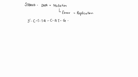 3-a-given-strand-of-dna-undergoes-a-mutation-because-of-an-error-in-replication-the-given-dna-strand-before-mutation-has-the-following-sequence-3-ctt-a-c-atg-cg-atgtcc-g-g-gt-a-ctgs-upon-mut-42474