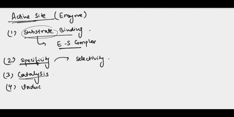 explain-the-importance-of-the-active-site-of-an-enzyme-49413