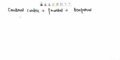 what-region-of-the-brain-is-responsible-for-complex-thinking-such-as-memory-speech-emotion-planning-and-reasoning-49782