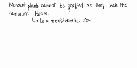 grafting-in-monocot-plants-is-not-possible-because-they-have-a-parallel-venation-b-have-only-one-cotyledon-c-have-cambium-d-have-scattered-vascular-bundles-14545
