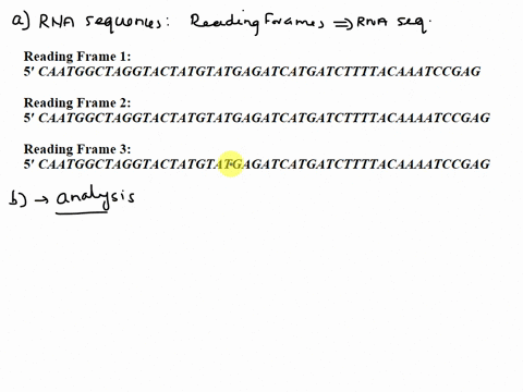 open-reading-frames-are-regions-of-dna-that-encode-at-least-one-aug-start-codon-and-have-a-long-stretch-of-codons-specifying-amino-acids-before-any-stop-codons-uaa-uga-uag-are-encountered-re-83217