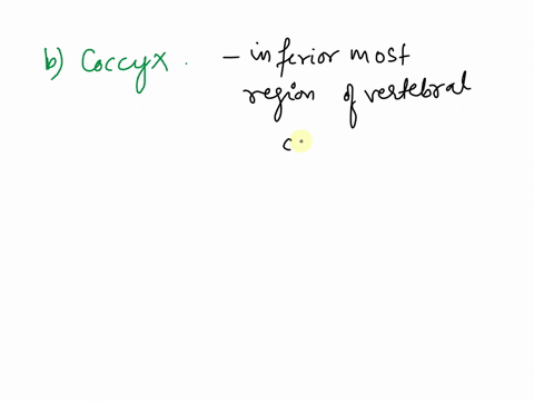 12-the-most-inferior-region-ofthe-vertebral-column-is-the-osxaie-decrea-a-sacrum-ctv412-i-jau-dcunsequently-det-b-coccyx-c-manubrium-d-pubis-39342
