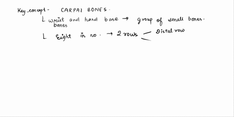 which-of-the-following-is-not-a-proximal-carpal-bone-a-hamate-b-pisiform-c-scaphoid-d-lunate-69909