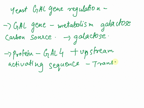 which-of-the-following-statements-is-accurate-regarding-the-yeast-gal-gene-regulation-athe-structural-genes-gal1-gal7-andgal10-are-regulated-as-a-polycitronic-transcription-unit-bthe-gal4-re-25806
