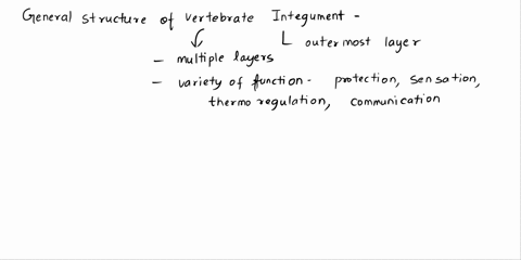 describe-the-general-structure-of-vertebrate-integument-you-may-draw-picture-as-long-as-it-is-appropriately-labeled-describe-the-changes-in-the-integument-in-each-vertebrate-group-as-you-go-18736