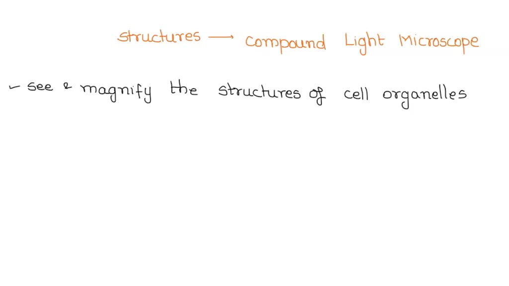 SOLVED What structures that can be seen with a compound light