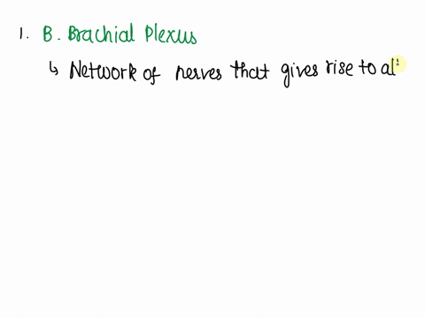 1-the-spinal-cord-has-an-apparent-cervical-enlargement-due-to-the-presence-of-the-cell-bodies-of-the-select-one-a-cranial-nerves-bbrachial-plexus-csympathetic-chain-ganglia-dsacral-plexus-2w-98906