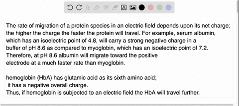 what-is-the-molecular-basis-for-the-differences-in-the-electrophoretic-mobilities-of-the-four-proteins-analyzed-in-this-exercise-relate-your-answer-t0-the-isoelectic-points-of-these-proteins-36262