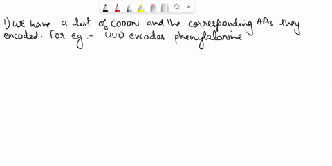second-letter-uuu-phenylalanine-uuc-uua-leucine-uug-ucu-ucc-serine-s-uca-ucg-uau-tyrosine-ugu-cysteine-c-uac-ugc-ua4-stop-codon-tgi-stop-codon-uag-stop-codon-ugg-tryptophan-5l-cuu-ccu-cau-hi-77026