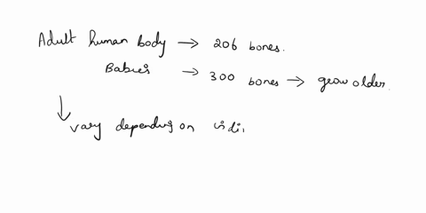 skeletalsystemouiz-answer-the-following-10-questions-on-the-skeletalsystem-to-the-best-or-your-ability-you-will-be-able-to-check-your-answers-at-a-later-date-1-how-many-bones-does-the-adult-40127