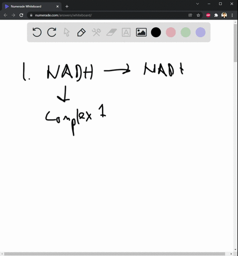 in-the-process-of-aerobic-cellular-respiration-how-is-nadh-oxidized-back-to-nad-1-pt-fermentation-occurs-in-the-absence-of-oxygen-so-it-cannot-use-the-same-process-to-regenerate-nad-how-does-70613