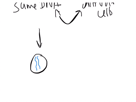 explain-how-all-the-cells-in-one-person-have-the-same-dna-but-there-are-over-200-different-types-of-cells-with-different-structures-and-functions