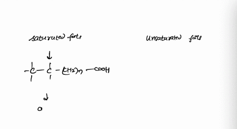 saturated-fats-have-potential-for-spoiling-when-exposed-to-oxygen-or-heated-and-unsaturated-fats-have-potential-for-spoiling-when-exposed-to-oxyg-ated-due-to-their-chemical-structure-high-no-96555