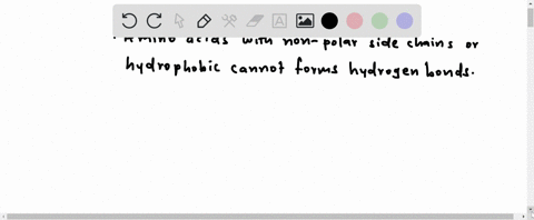 which-amino-acids-side-chains-in-this-peptide-cannot-form-hydrogen-bonds