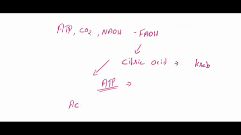 how-many-molecules-of-atp-co_-nadh-and-fadh-would-be-formed-from-the-citric-cycle-if-three-acetyl-coa-molecules-entered-into-the-cycle-what-molecule-is-formed-by-the-removal-of-a-carbon-as-c-90515