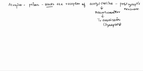 atropine-is-a-poison-that-blocks-the-receptors-of-acetylcholine-on-the-postsynaptic-membrane-which-of-the-following-events-would-most-likely-be-affected-by-this-poison-the-depolarization-of-12642