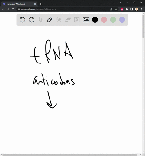 translation-involves-_______-a-form-of-rna-that-brings-amino-acids-to-the-ribosomes-to-be-assembled-into-proteins-92721