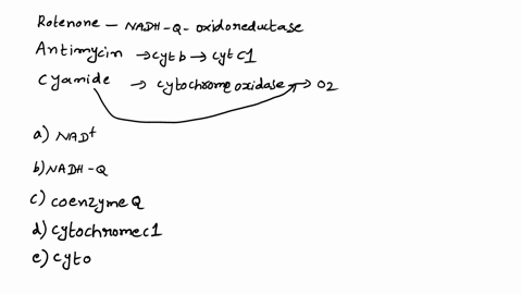 rotenone-inhibits-electron-flow-through-nadh-q-oxidoreductae-antimycin-a-blocks-electron-flow-between-cytochromes-b-and-c1-cyanide-blocks-electron-flow-through-cytochrome-oxidase-to-o2-predi-70827