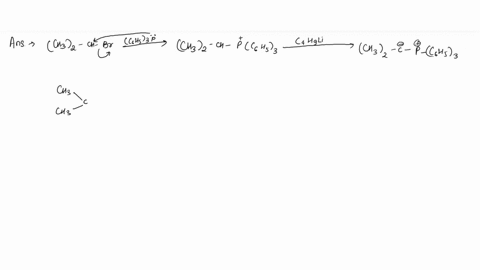 19-which-sequence-of-reagents-could-be-used-in-the-following-wittig-synthesis-starting-with-isopropyl-bromide-ch-chachbr-ch-chlic-hshp-a-1-then-2then-3-c-2-then-1then-3-b-1-then-3then-2-d-2-09337