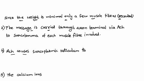 worksheet-66-excitation-contraction-coupling-muscles-work-by-converting-chemical-e-atp-into-mechanica-energy-cnetry-contraction-starts-with-an-but-muscle-electrical-impulse-name-from-the-cen-93033