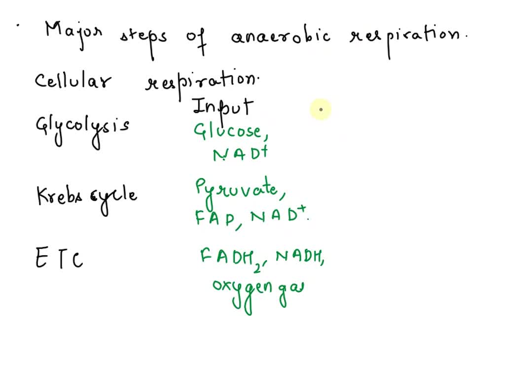 SOLVED: Outline the major steps of anaerobic respiration including the ...