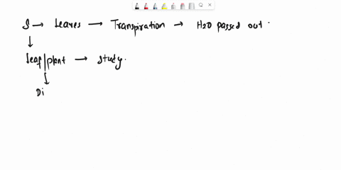 which-type-of-leaf-you-will-use-to-study-comparative-rates-of-transpiration-why-48666