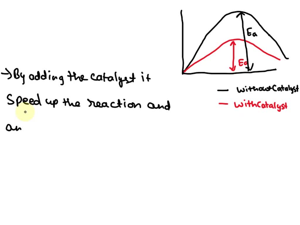 SOLVED How does a catalyst increase the speed of a reaction? A. The