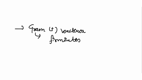 question-10-which-of-the-following-is-true-all-gram-positive-bacteria-belong-lo-the-same-phylum-gram-negative-bacteria-have-very-thick-cell-walls-in-transformalion-bacleria-gel-nucleic-acids-37583