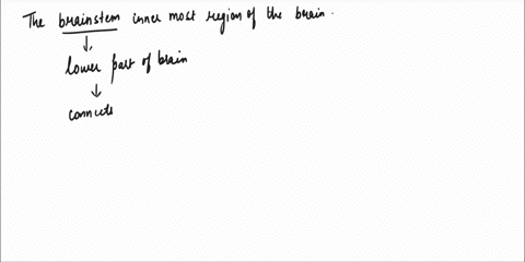 the-__________-is-the-innermost-region-of-the-brain-29049