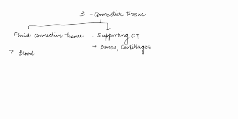 20-place-each-type-of-individual-type-of-connective-tissue-in-the-appropriate-category-002-points-hyaline-cartilage-blood-dense-irregular-elas-carilage-dense-regular-fibrocartilage-reticular-62395
