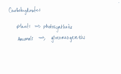 how-does-the-biosynthesis-of-carbohydrates-in-plants-by-photosynthesis-differ-from-gluconeogenesis-i-41881