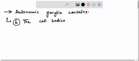 20-autonomic-ganglia-contain-a-the-cell-bodies-of-unipolar-neurons-b-the-cell-bodies-and-dendrites-of-multipolar-neurons-c-both-somatic-afferent-and-efferent-neurons-d-an-outer-connective-ti-65108