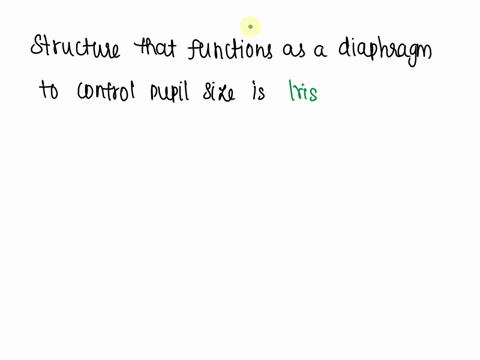 question4-1-pts-the-structure-that-functions-as-a-diaphragm-to-control-pupil-size-is-tha-osuspensory-ligament-oirls-oanterior-chamber-oora-serrata-o-comea-78652