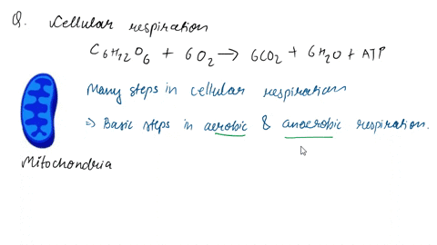 4-cellular-respiration-that-occurs-in-the-presence-of-oxygen-is-called-aerobic-respiration-most-of-the-time-the-cells-in-our-bodies-use-aerobic-respiration-the-following-chemical-equation-sh-58513