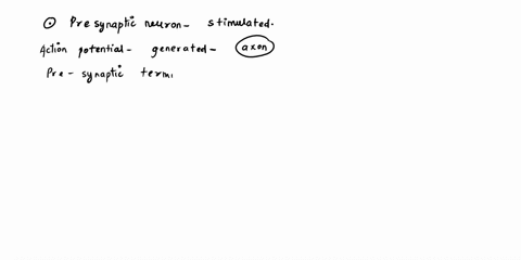 when-a-presynaptic-neuron-is-stimuated-there-is-a-05-to-10-ms-delay-before-the-postsynaptic-neuron-exhibits-a-change-in-membrane-potential-which-of-the-following-explains-this-phenomenon-a-a-34524