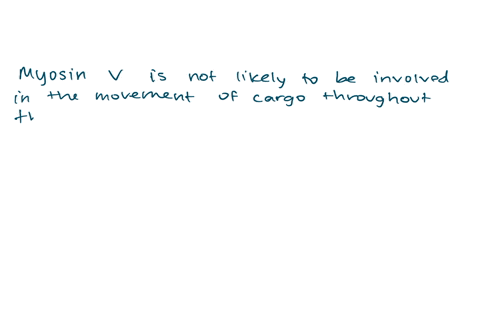 which-of-the-following-is-unlikely-to-be-involved-in-the-movement-of-cargo-proteins-vesicles-rna-membrane-components-etc-throughout-the-cell-a-myosin-v-b-actin-c-kinesin-d-dynein-e-microtubu-09972