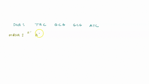 for-the-following-strand-of-dna-identify-the-corresponding-mrna-codons-and-trna-anticodons-then-use-table-10-3-and-the-codons-to-find-the-resultant-amino-acid-sequence_-please-label-your-ans-20134